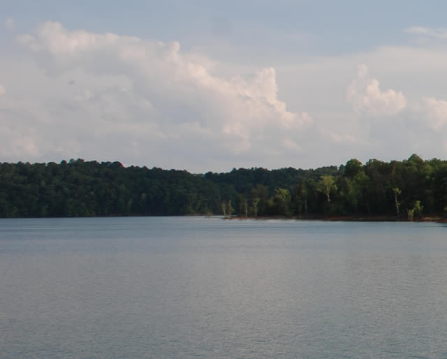 Blue Springs Hollow Lots for Sale Norris Lake
