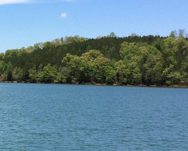 Eagles Landing Lots for Sale Norris Lake