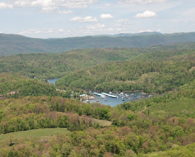 Flat Hollow Homes for Sale Norris lake