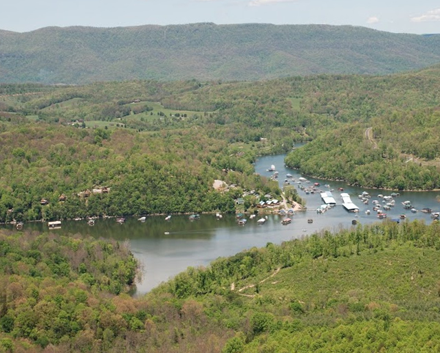 Flat Hollow Lots for Sale Norris Lake