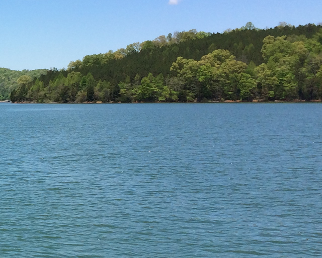 Horseshoe Bend Lots for Sale Norris lake