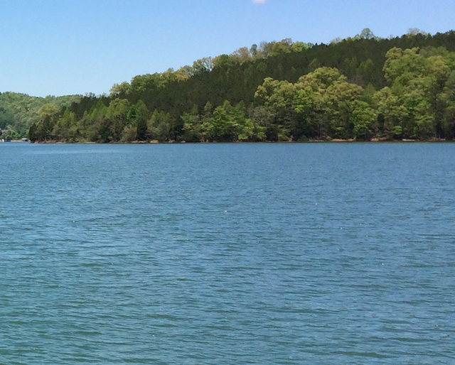 Lakewood Forest Lots for Sale Norris lake