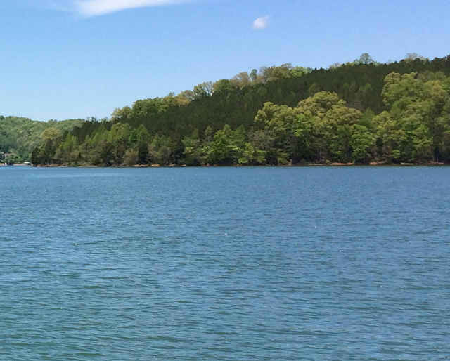 Leadmine Bend Homes for Sale Norris lake