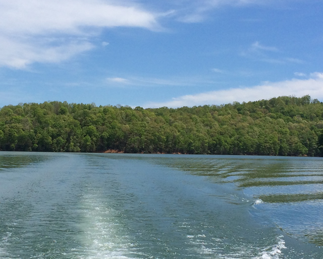 Leadmine Bend Lots for Sale Norris lake