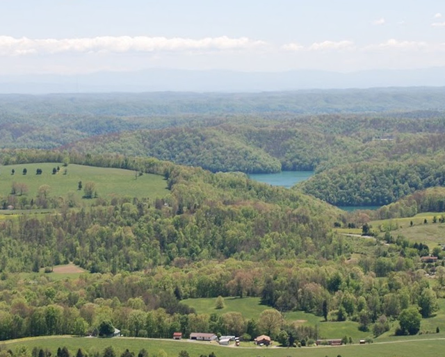 Paradise Pointe Homes for Sale Norris lake