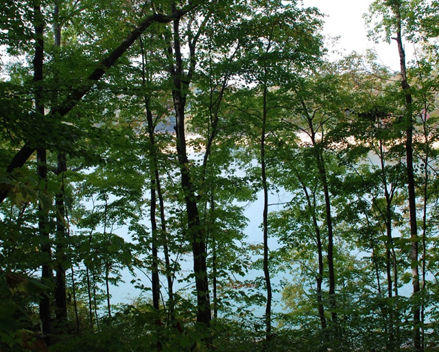 Pinnacle Pointe Lots for Sale Norris lake