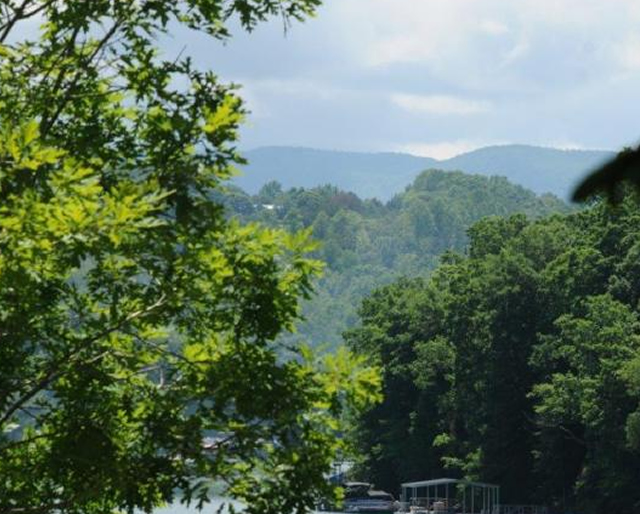 SuDennie Lots for Sale Norris lake