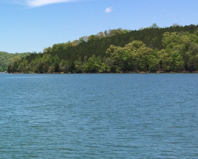 Timberlake Estates Homes for Sale Norris lake
