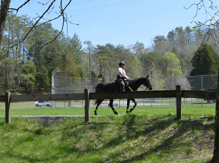 Big Ridge State Park Ranger Horseback